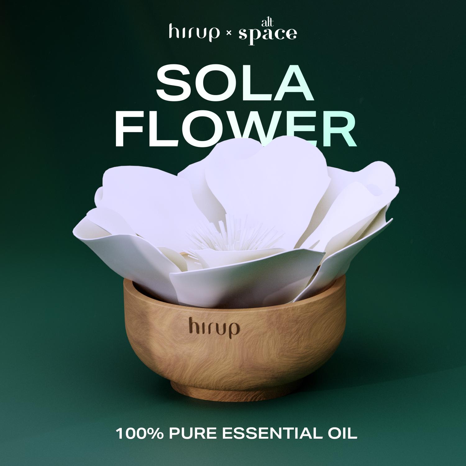ALT Perfumery | Sola Flower Diffuser | Bunga Diffuser | Pewangi Ruangan | Hiasan rumah | Multifungsi | Gift | Hampers